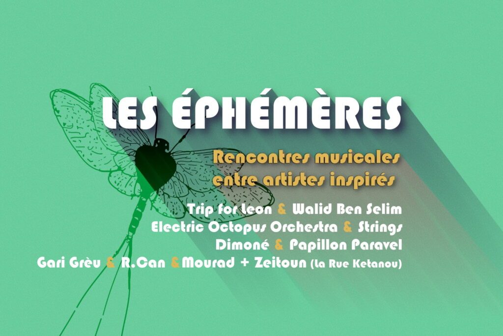 Affiche Les Ephémères
