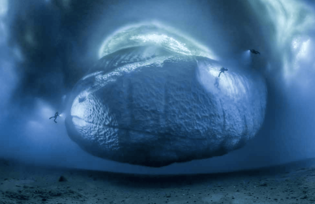 Photographie © LAURENT BALLESTA/ANDROMÈDE OCÉANOLOGIE