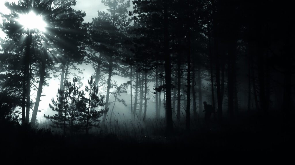 Erwann Babin