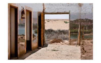 Durban-Corbières : l&rsquo;artiste Sandrine Arons à découvrir à la galerie Remp-Arts jusqu&rsquo;au 15 juillet