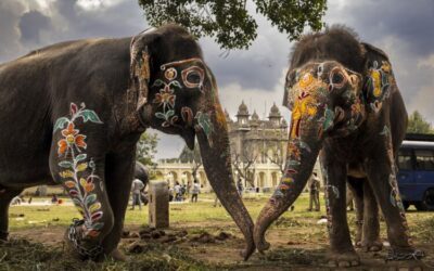 Perpignan : le meilleur du photojournalisme à Visa pour l&rsquo;image jusqu&rsquo;au 17 septembre
