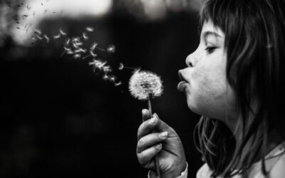 Vendémian : place à ISO Photo Festival les 9 et 10 septembre