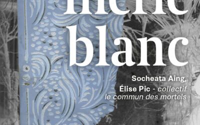 Toulouse : « merle blanc », la nouvelle expo à découvrir à la galerie 3.1