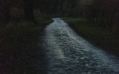 Gaillac : au château de l&rsquo;Hom, Dominique Laugé partage ses « Démabulations photographiques » du 14 au 28 janvier