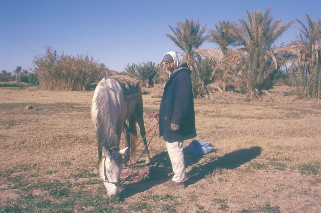 Driss Aroussi, Borj el mechkouk, 2023 © Adagp, Paris, 2024i