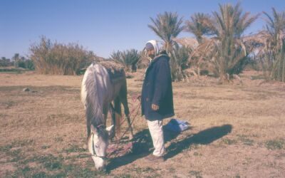 Lectoure : 35e édition de l’Été photograhique au centre d’art et de photographie, du 20 juillet au 29 septembre