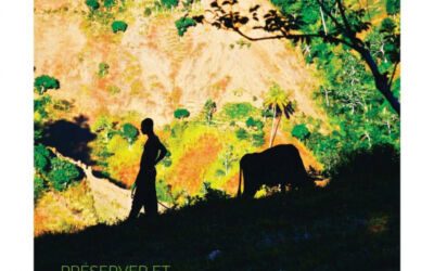 Montpellier : le Cirad fête ses 40 ans avec une exposition au Jardin des plantes