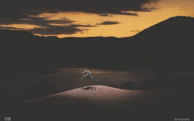 Vendémian : une édition sportive pour le Iso Photo Festival, les 14 et 15 septembre