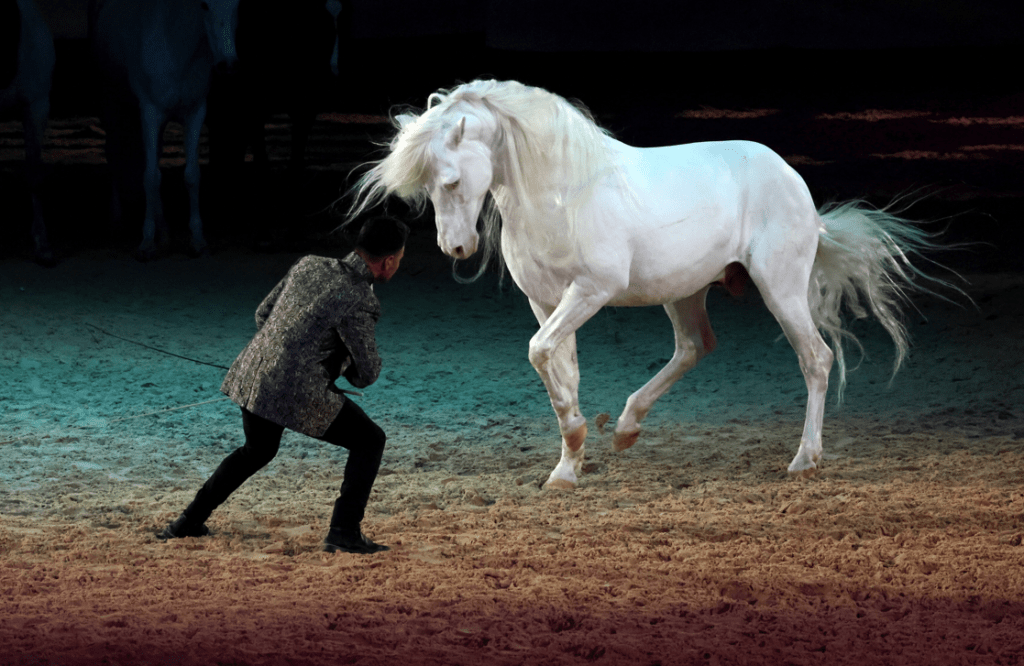 © Cheval Passion