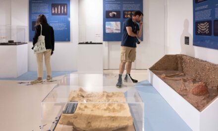 Aurignac | Le musée de l&rsquo;Aurignacien ouvre deux expositions temporaires entre archéologie préventive et préhistoire maritime – jusqu&rsquo;à la fin de l&rsquo;année