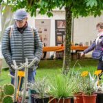 Gaillac | Un mariage inattendu : la botanique et les livres s’assemblent au parc de Foucaud le 8 mai