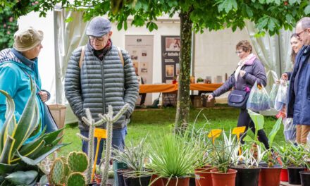 Gaillac | Un mariage inattendu : la botanique et les livres s’assemblent au parc de Foucaud le 8 mai
