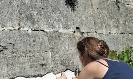 Nîmes | “À Ciel ouvert” : une exposition conçue par les étudiants de l’École supérieure des beaux-arts de Nîmes