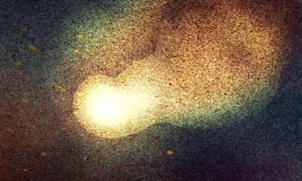 Lagrasse | Voyage aux origines du monde à l’Abbaye médiévale de Lagrasse