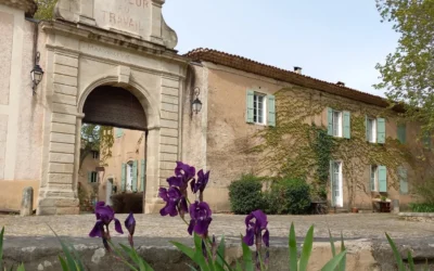 Clermont-l&rsquo;Hérault | Fenêtres sur les patrimoines – balades dégustations et rando gourmande tout au long de mai 2026