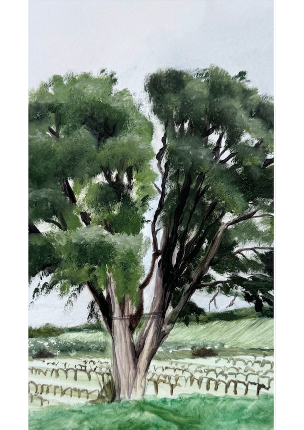Arpaillargues-et-Aureillac | Une exposition au coeur des vignes de l’Uzège, au domaine Deleuze Rochetin du 22 mai au 5 septembre