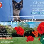 Saint-Cyprien | Deux expositions estivales entre photographie et sculpture florale, du 25 juin au 22 septembre