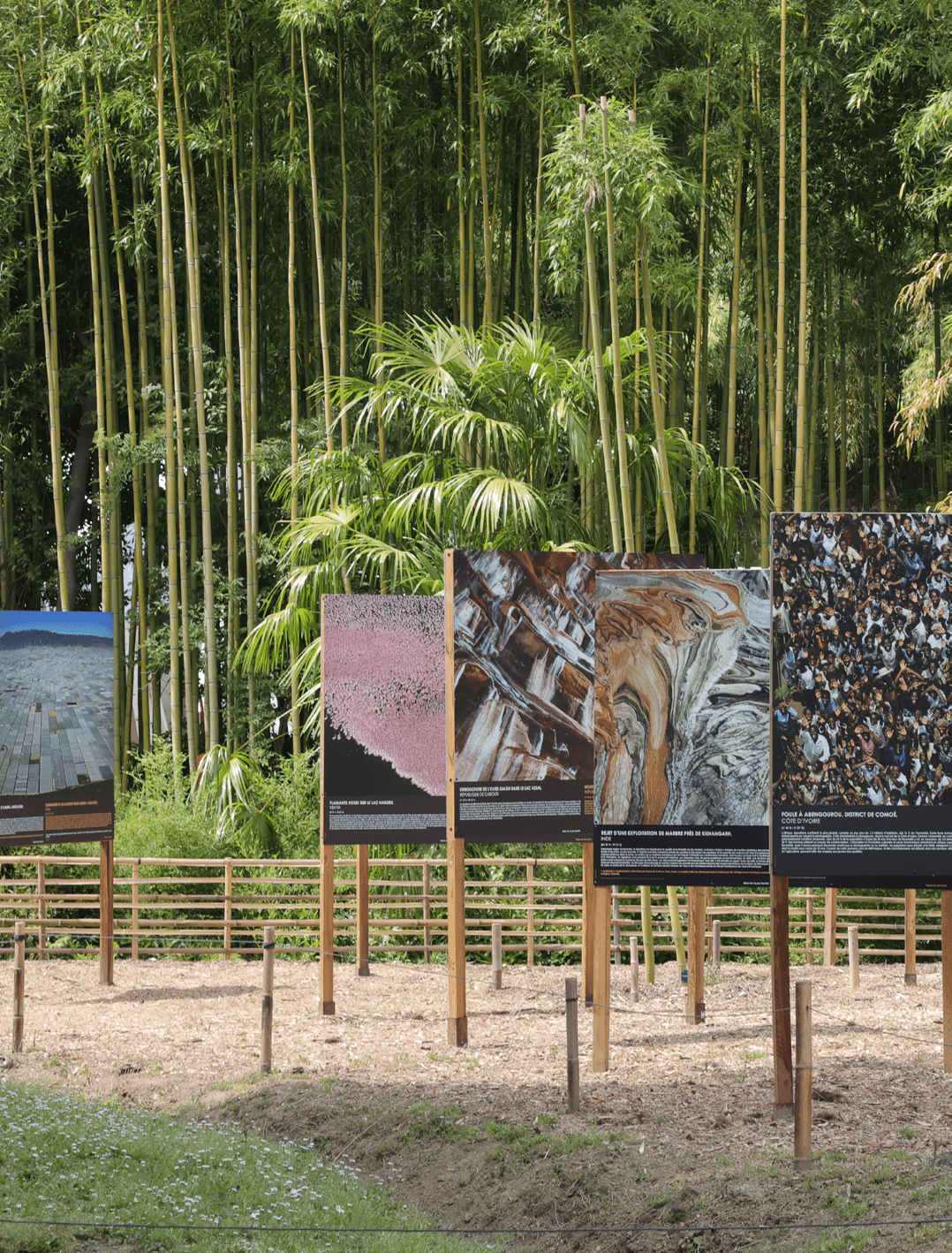 YA Betrand – Bambouseraie – Patrick Aventurier