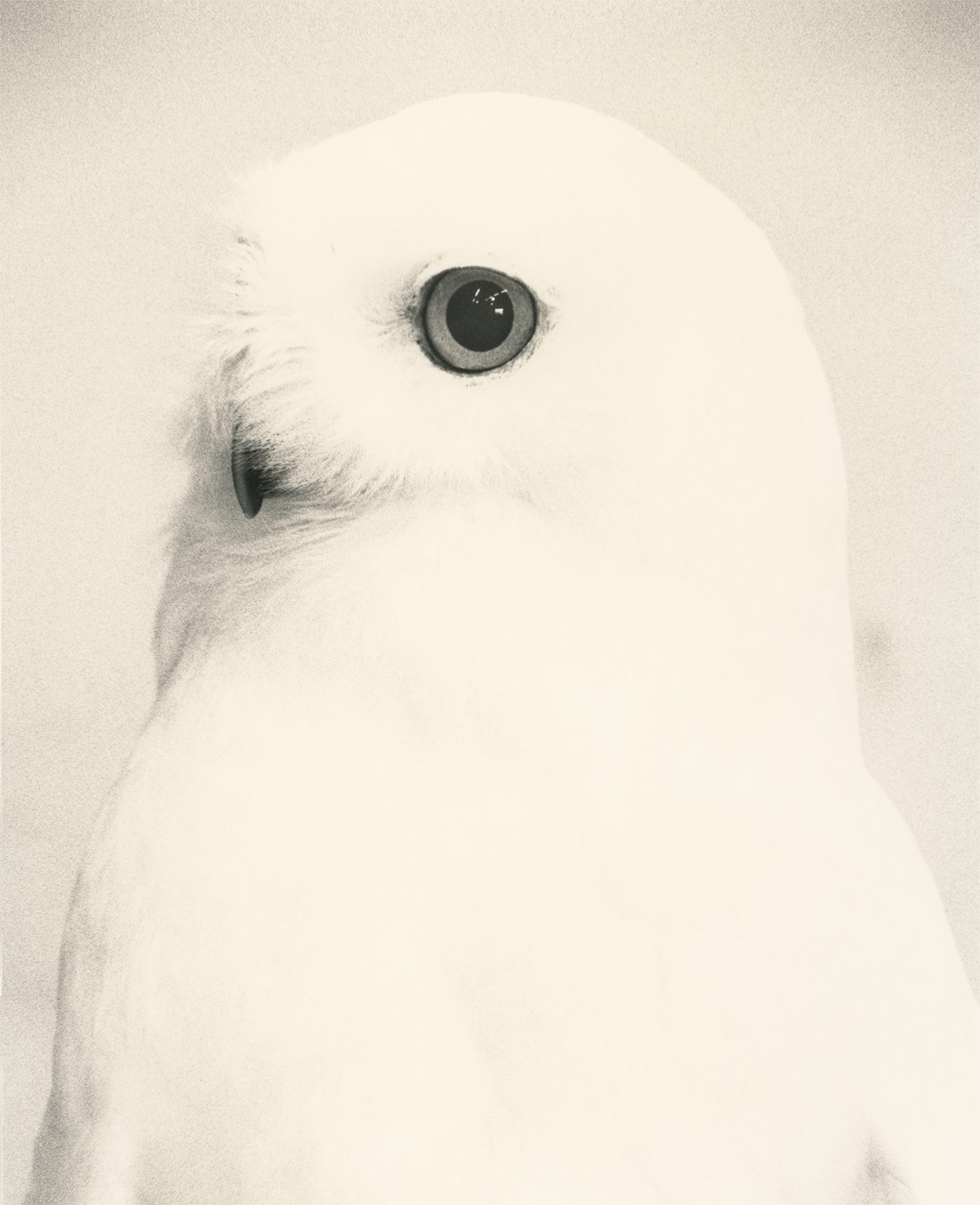 Yamamoto Masao – Kawa=Flow, #1713 © Galerie Camera Obscura, Paris _ Galeria Valid Foto BCN, Barcelone