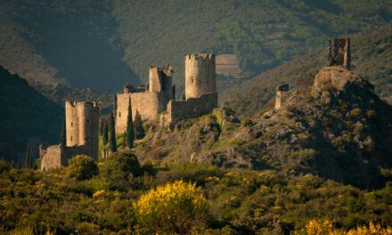 Aude / Ariège | Les Forteresses royales du Languedoc inscrites au Patrimoine Mondial de l’UNESCO ce 26 juillet