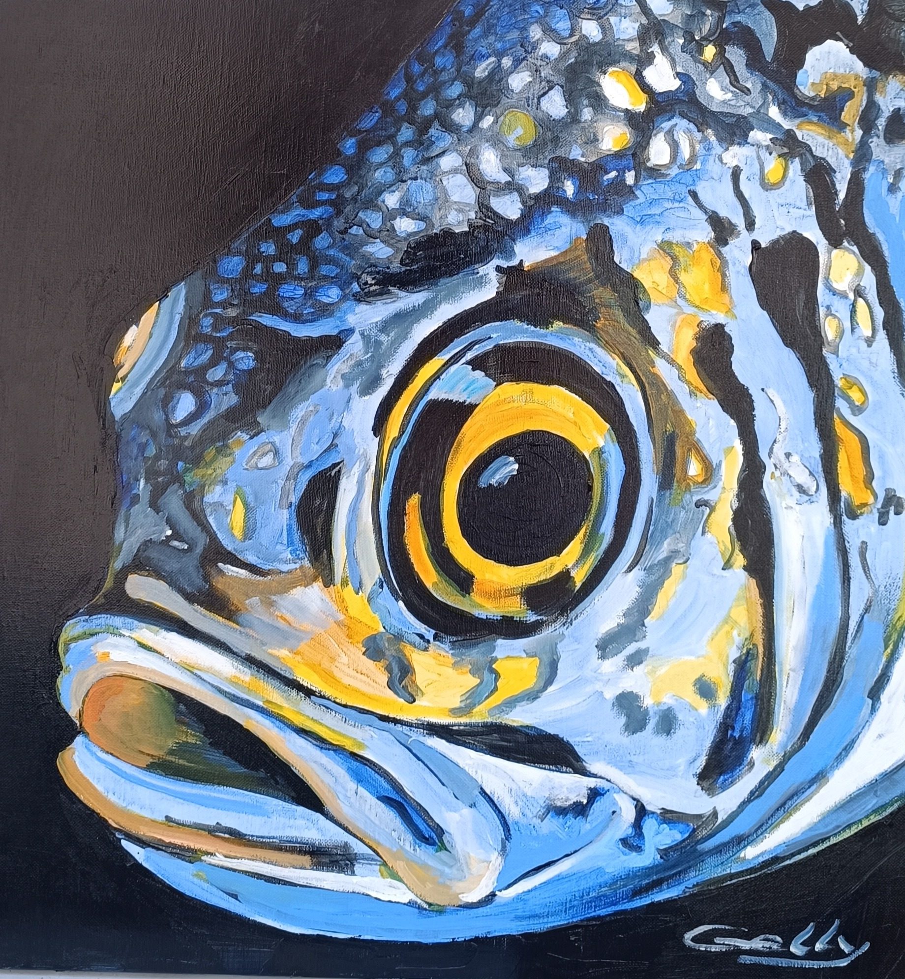 POISSON BLEU