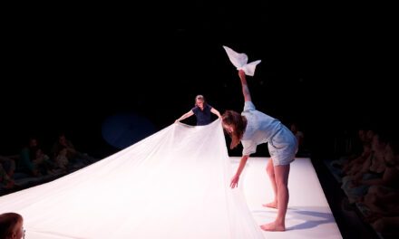 Tournefeuille | 22 compagnies et plus de 70 représentations : Marionnettissimo revient du 17 au 22 novembre