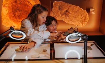 Lodève | Fossiles, sculpture et mégalithes : les vacances d&rsquo;automne en Lodévois et Larzac – jusqu&rsquo;au 31 octobre