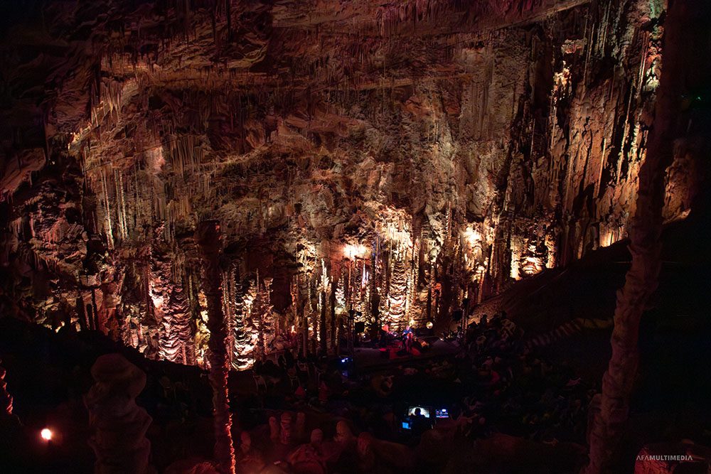 rZoONiazqLAo